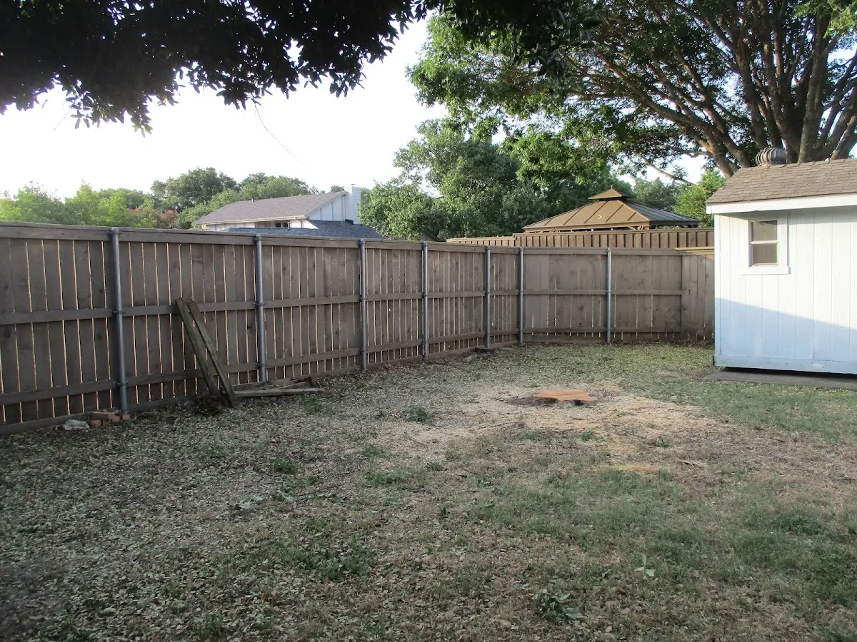 Cleared yard after professional tree removal in Kennedy